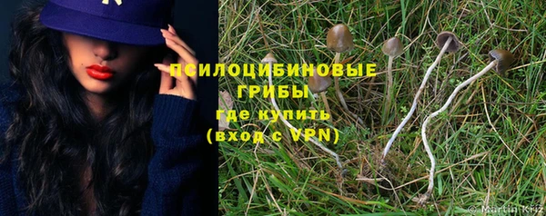не бодяженный Армянск