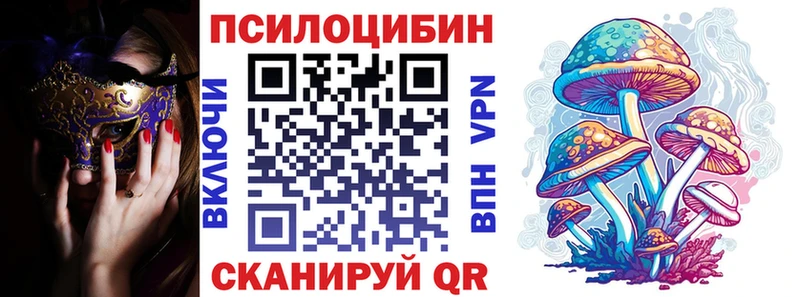 Галлюциногенные грибы MAGIC MUSHROOMS  хочу   Няндома 
